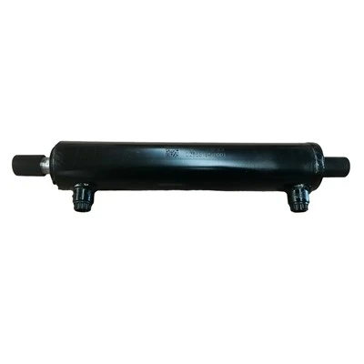 DZ95319470001 Cilindro idraulico dello sterzo
